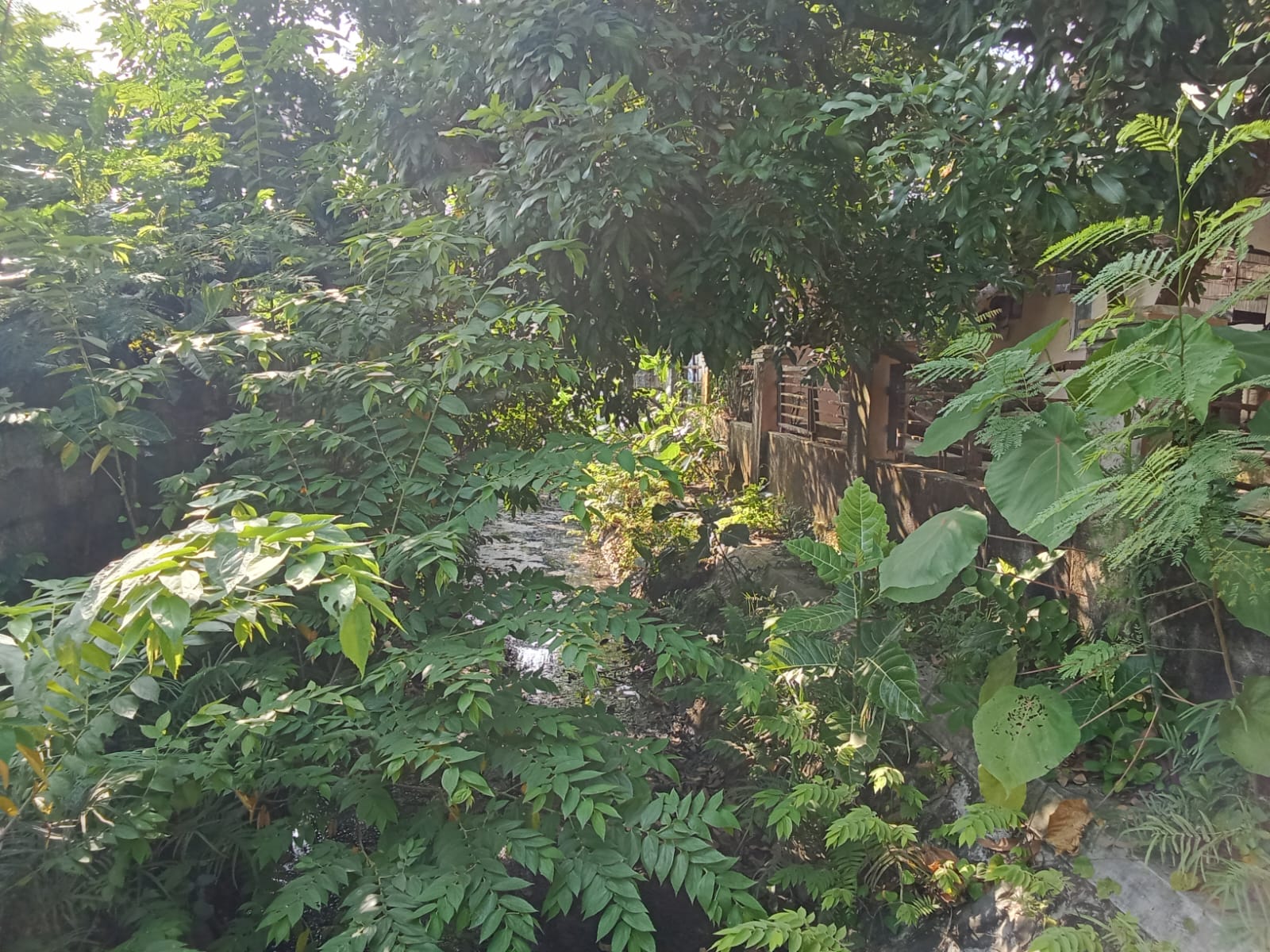 Kegiatan Pemeliharaan Sungai Cipager Kecamatan Cipocok. (19 Juni 2025)