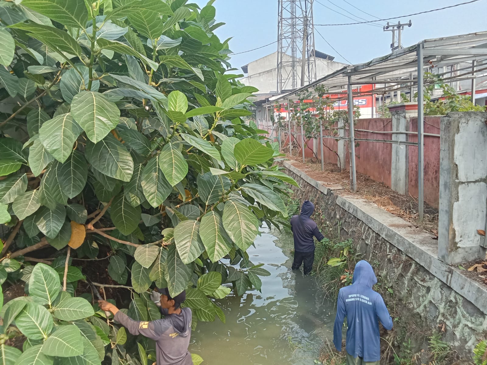 Dinas PUPR Kota Serang melakukan Pemeliharaan kali Parung Untirta. (8 September 2026)